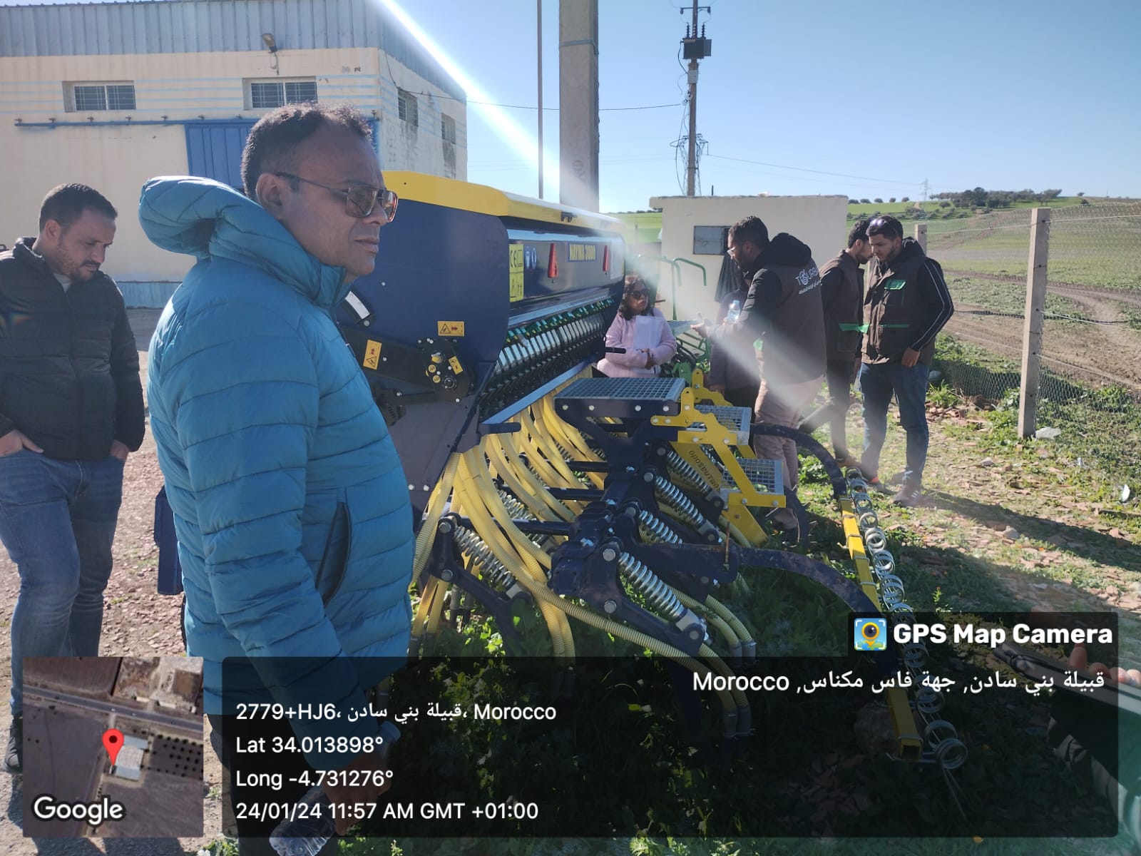 Young mangrove saplings being planted in a coastal area.